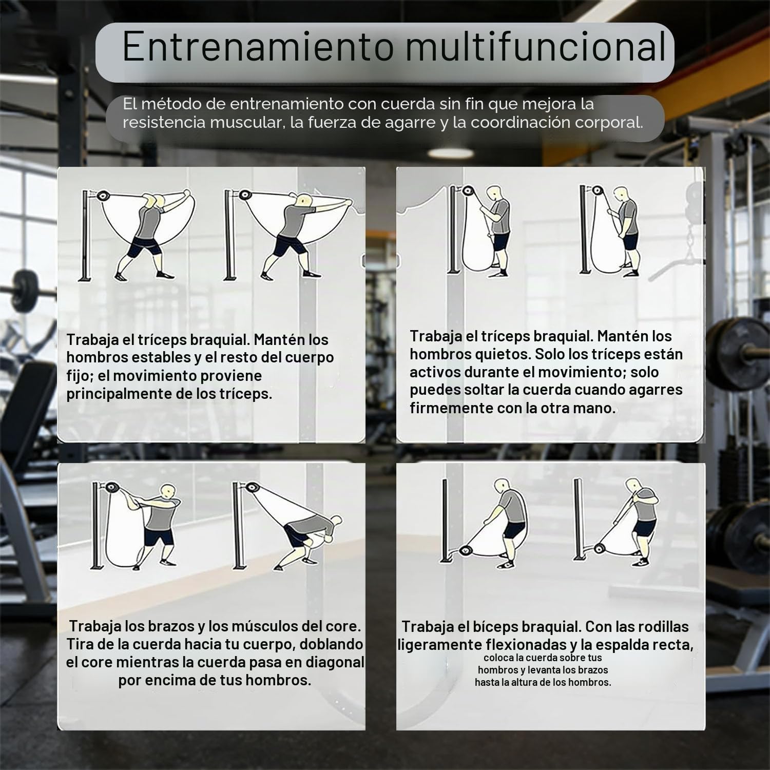 Entrenador de Poleas Sistema Cable-Polea Resistencia Ajustable Entrenador de Cuerda Infinita Máquina Cuerda Sin Fin Poleas Suspensión Equipo de Entrenamiento FíSico La Espalda