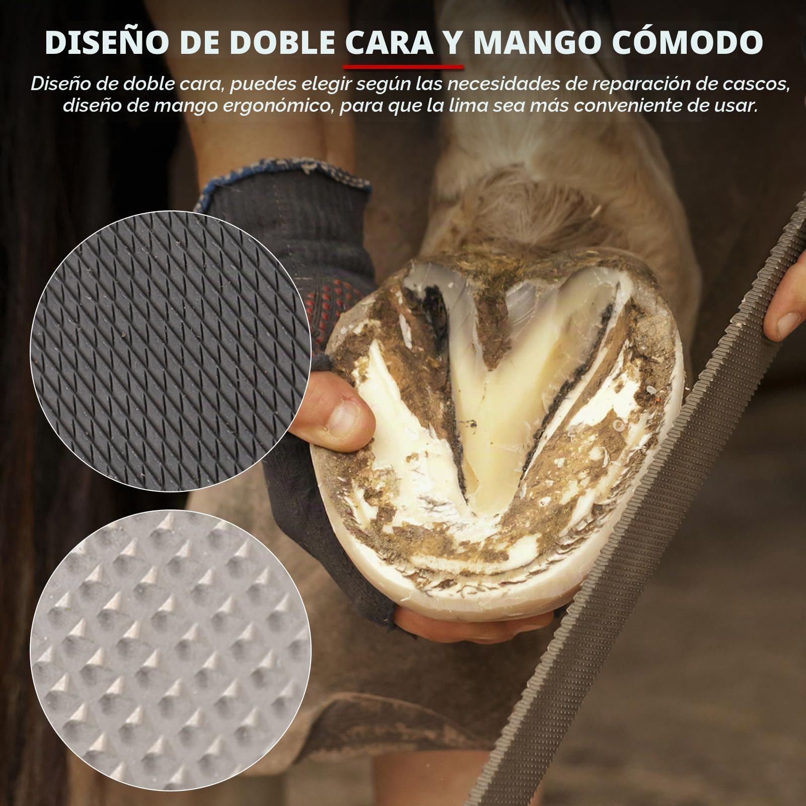 Herramienta de herrador de Caballos, 9 Piezas de Acero, Hierro, Herradura, Cortador de alicates, escofina para pezuñas de Caballo con Mango ergonómico, Martillo, Herramienta para pezuñas