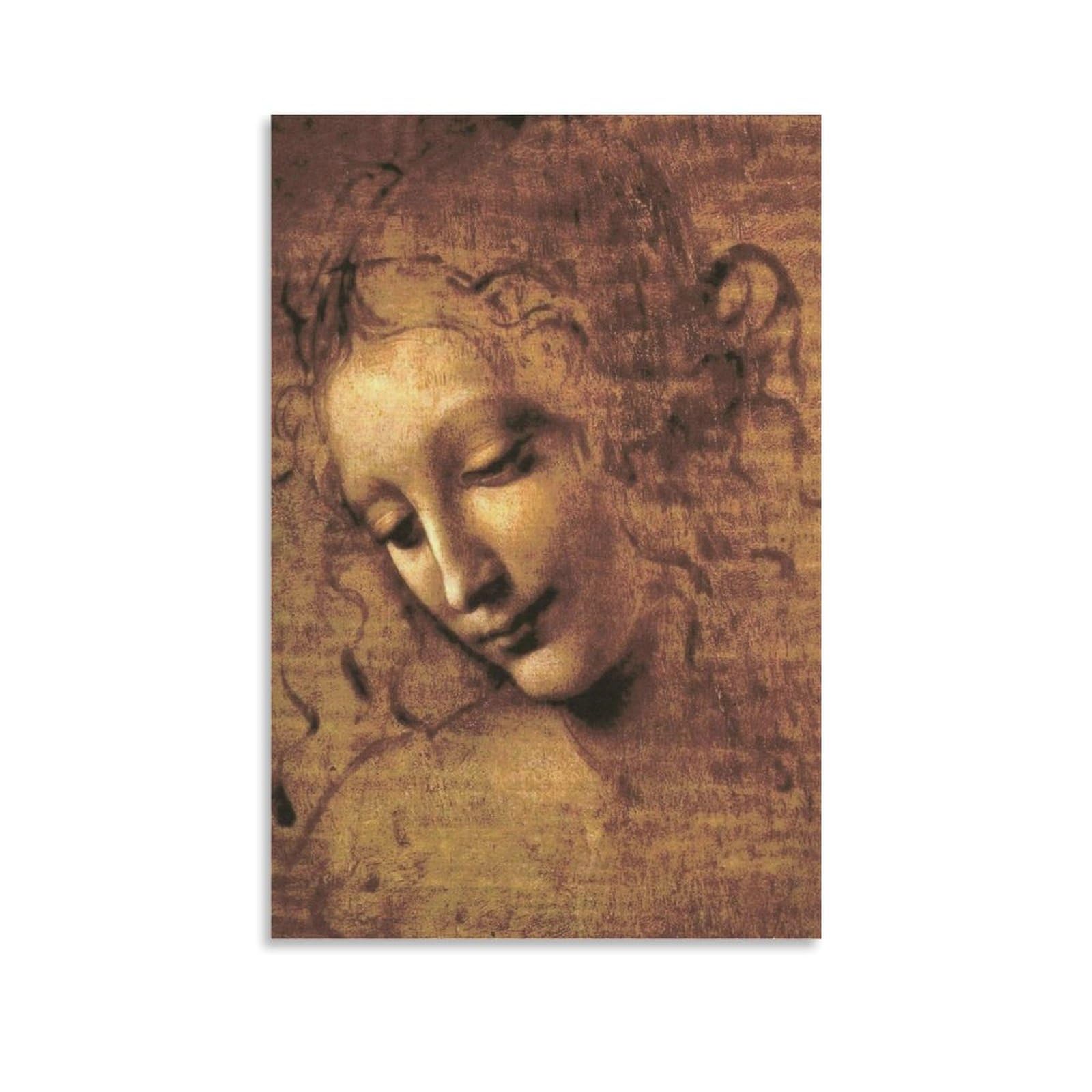 GAJUST Da Vinci Female Head Poster Female Head Painted by Leonardo Da Vinci Circa 1508., Canvas Print Art Poster; Unframe; 24x36inch(60x90cm)