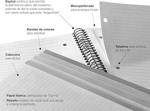Miniatura 4 de Miquel Rius M Fashion - Cuaderno de 4 temas en espiral, rayado A5-8.25 x 5.87 pulgadas, 120 hojas de papel pesado blanco, sujetos separados por