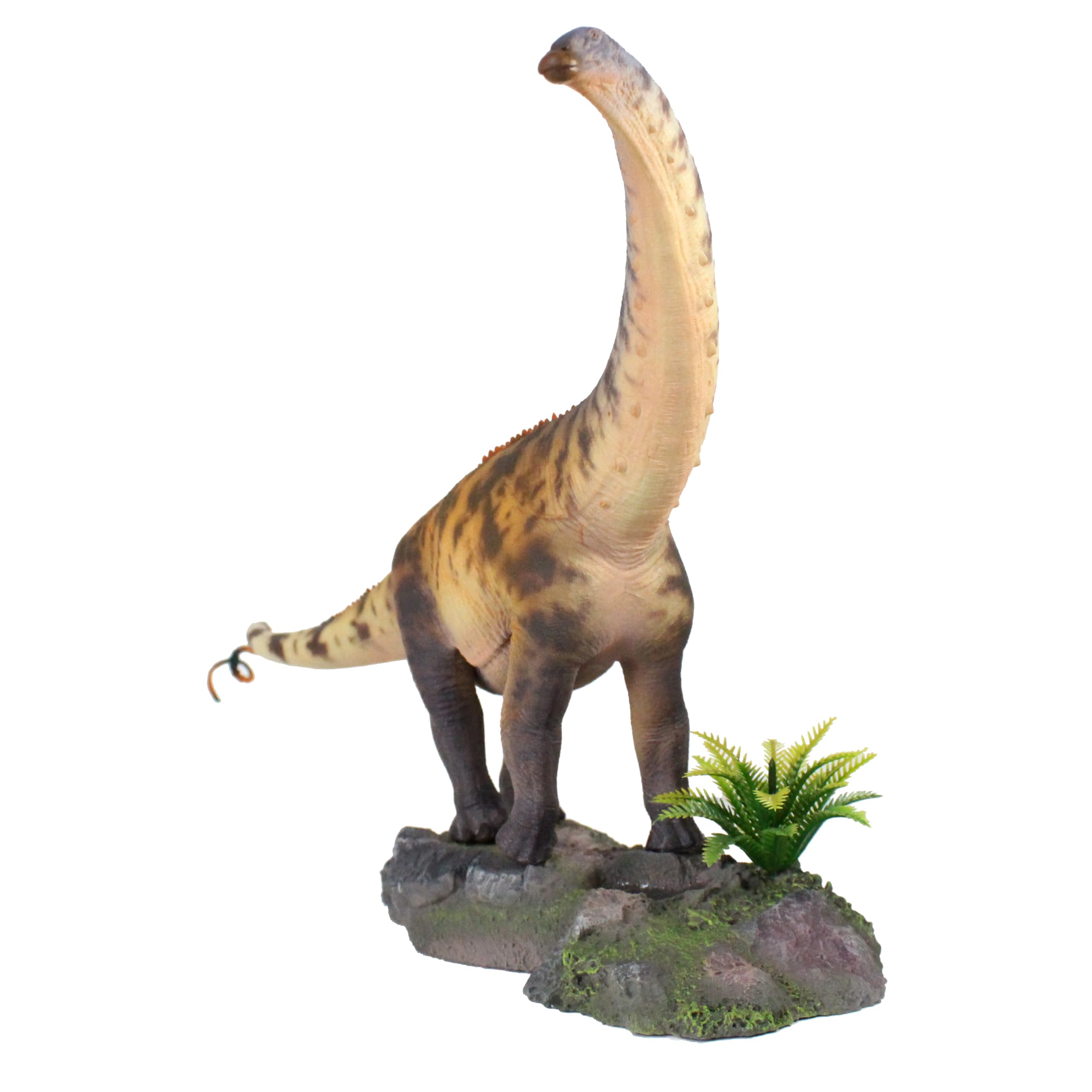 AMITD Nouveau Brontosaure 1:35 Science and Art Model (Xie Ying Deng)