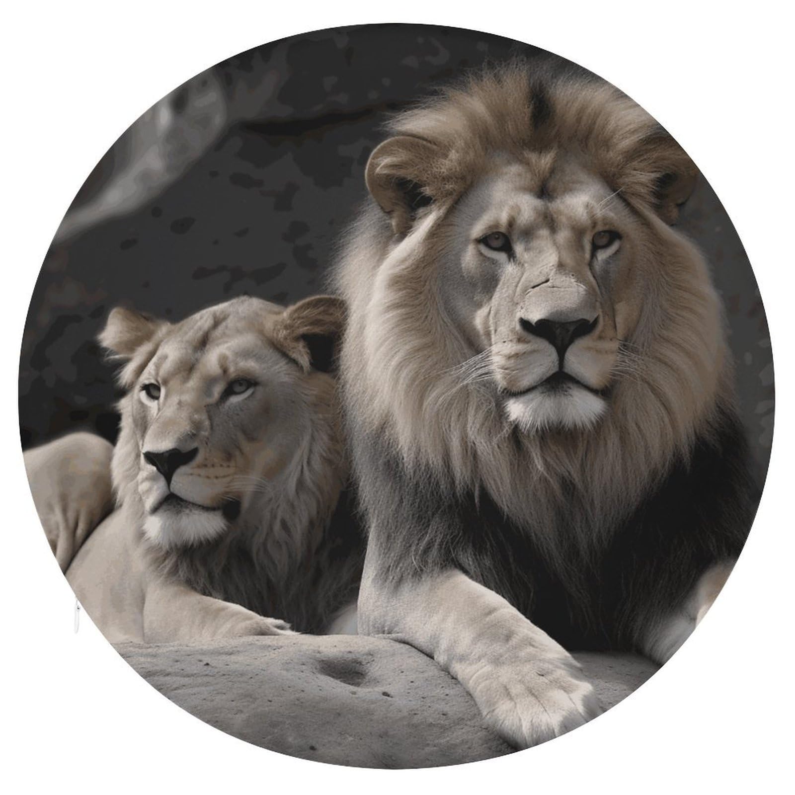 Wsoihfec Men's Style And Fe Lions Seat Cushion Round Chair Pad