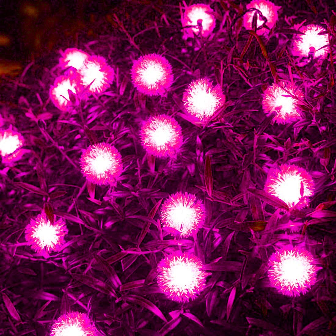 Solar-Lichterkette für den Außenbereich,22m 200LED Solar-Lichterkette mit Kugeln, wasserdicht, 8 Modi für Garten und Hof (Rosa)