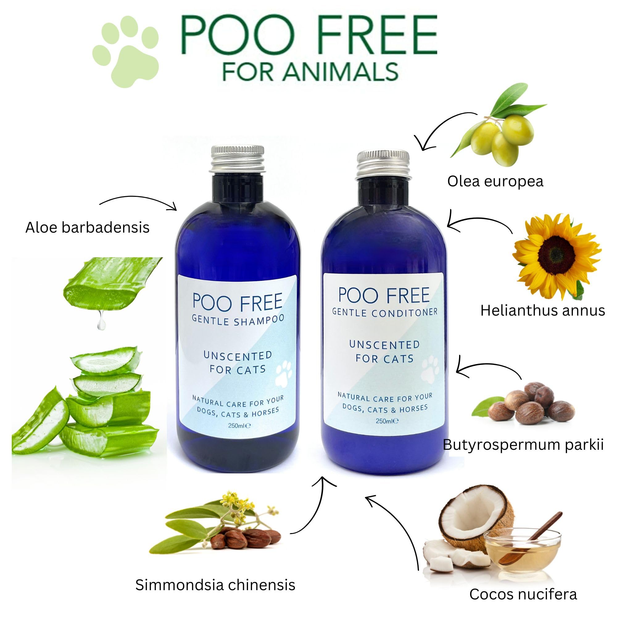 Shampooing Chat Haute Tolérance – Aloe Vera Bio & sans Parfum – Soin Apaisant pour Peaux Ultra-Sensibles – Formule Ultra-Concentrée – 250ml