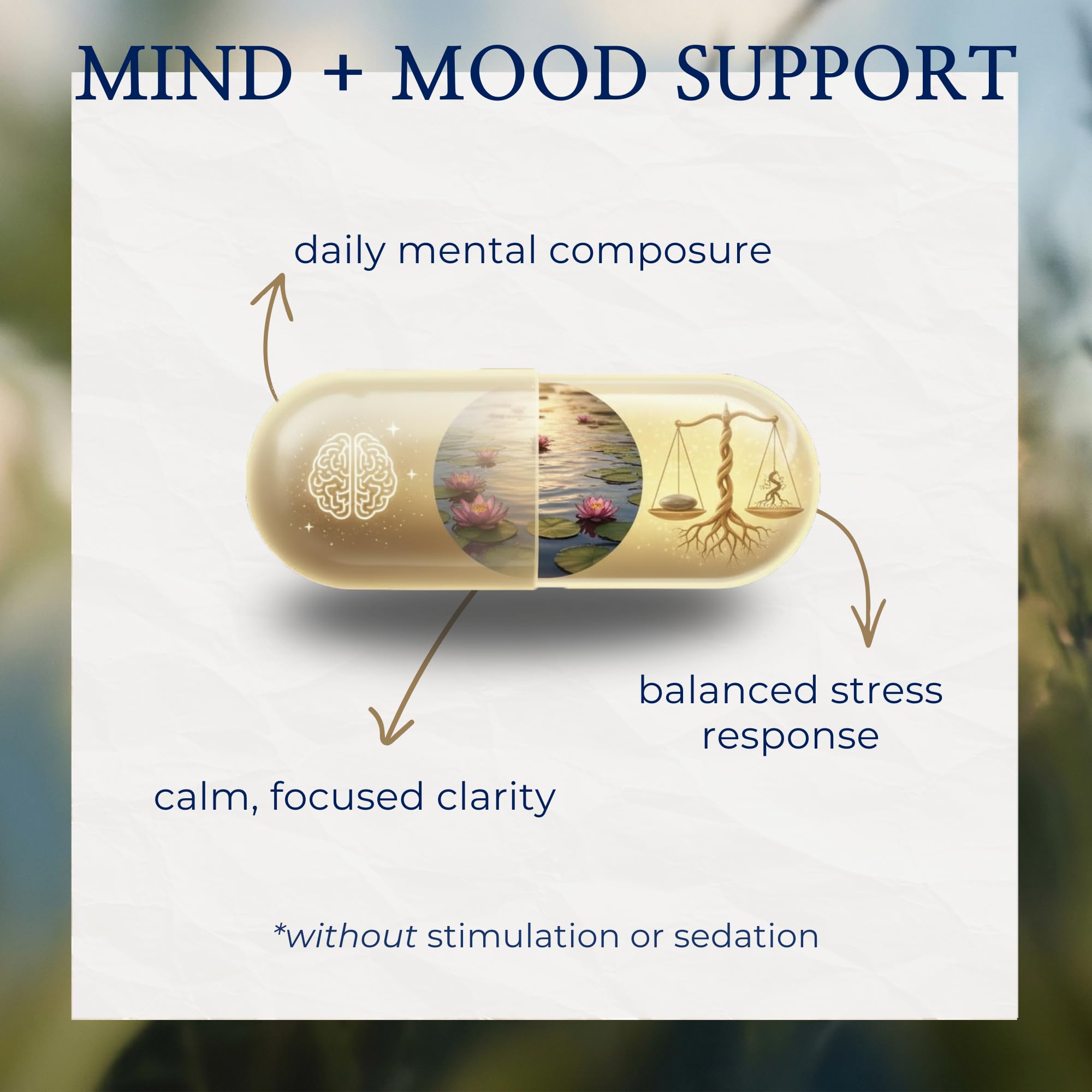 Magnesium Bisglycinate 500mg + KSM-66 Ashwagandha 300mg + L-Theanine 200mg, TRAACS High Absorption Chelated Magnesium Glycinate Supplement for Sleep, Stress & Cognition, 60 Vegan Capsules — Amazon image 2