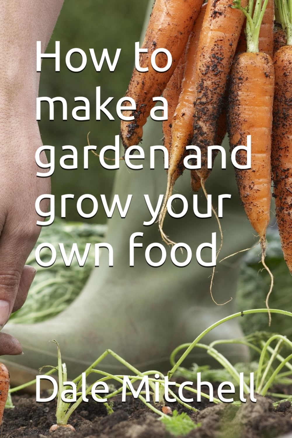How to make a garden and grow your own food