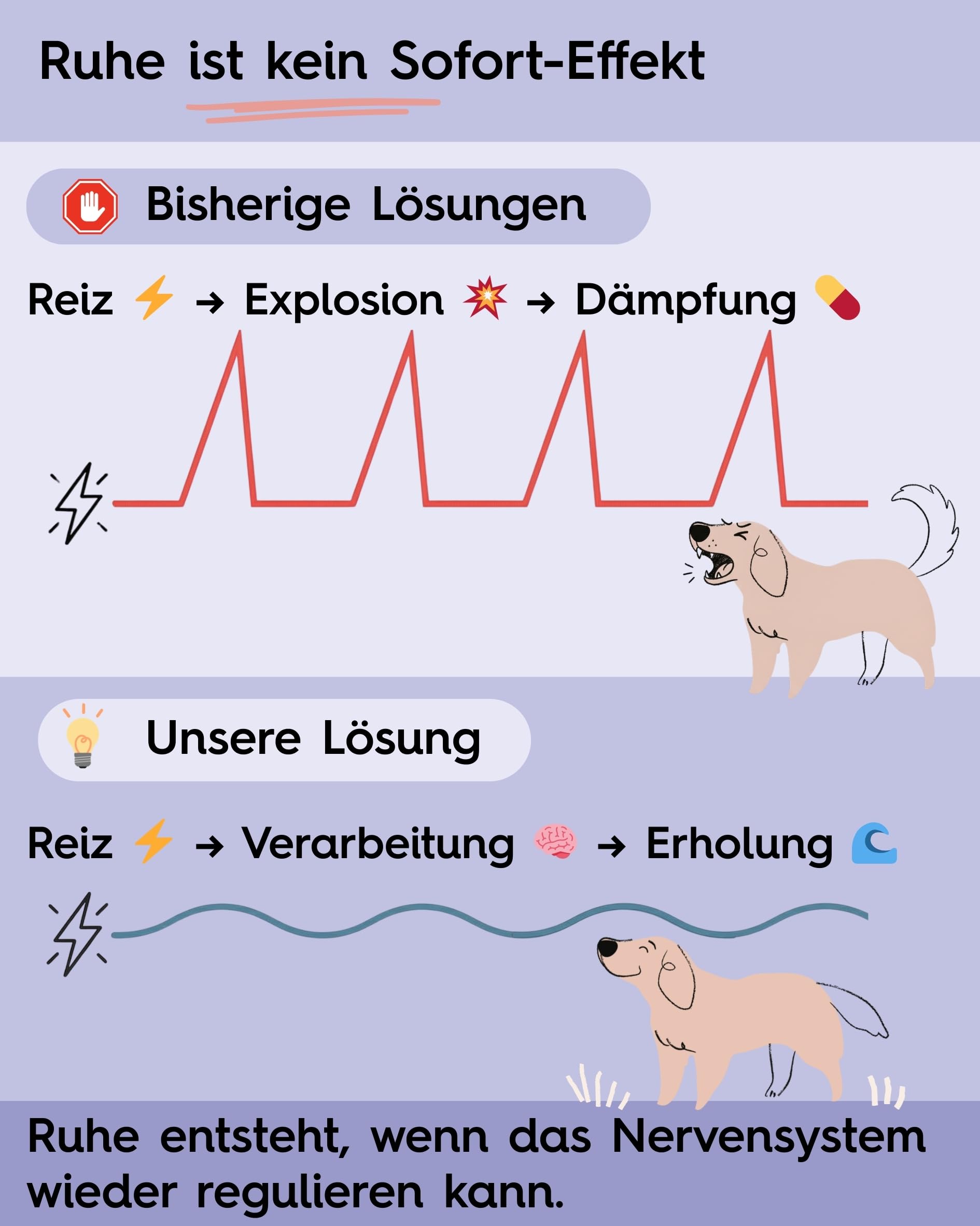 Lucky Pets NEU Beruhigungstabletten für Hunde 150 Stück – Mit L-Tryptophan, Baldrian und Hanfsaat – Bei Angst, Stress, Reisen und Silvester – Beruhigungsmittel für Hunde – Made in Germany
