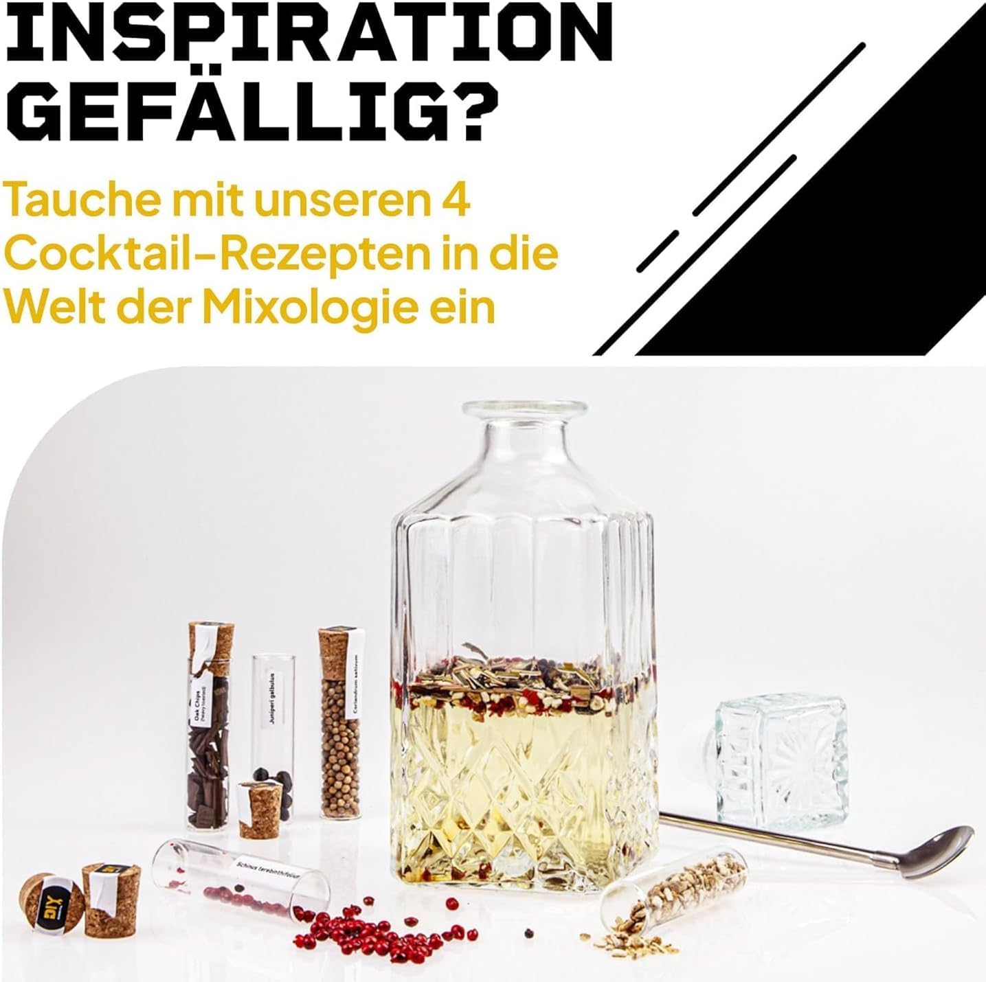 DIBYS Gin-Gewürze-Set Mini | 12 Botanicals für Gin Tonic & Cocktail - Mit 4 Rezept-Karten, Gewürzlexikon & edler Holz-Kiste - Geschenk-Set für Männer & Frauen - Ginzubehör Selber Machen
