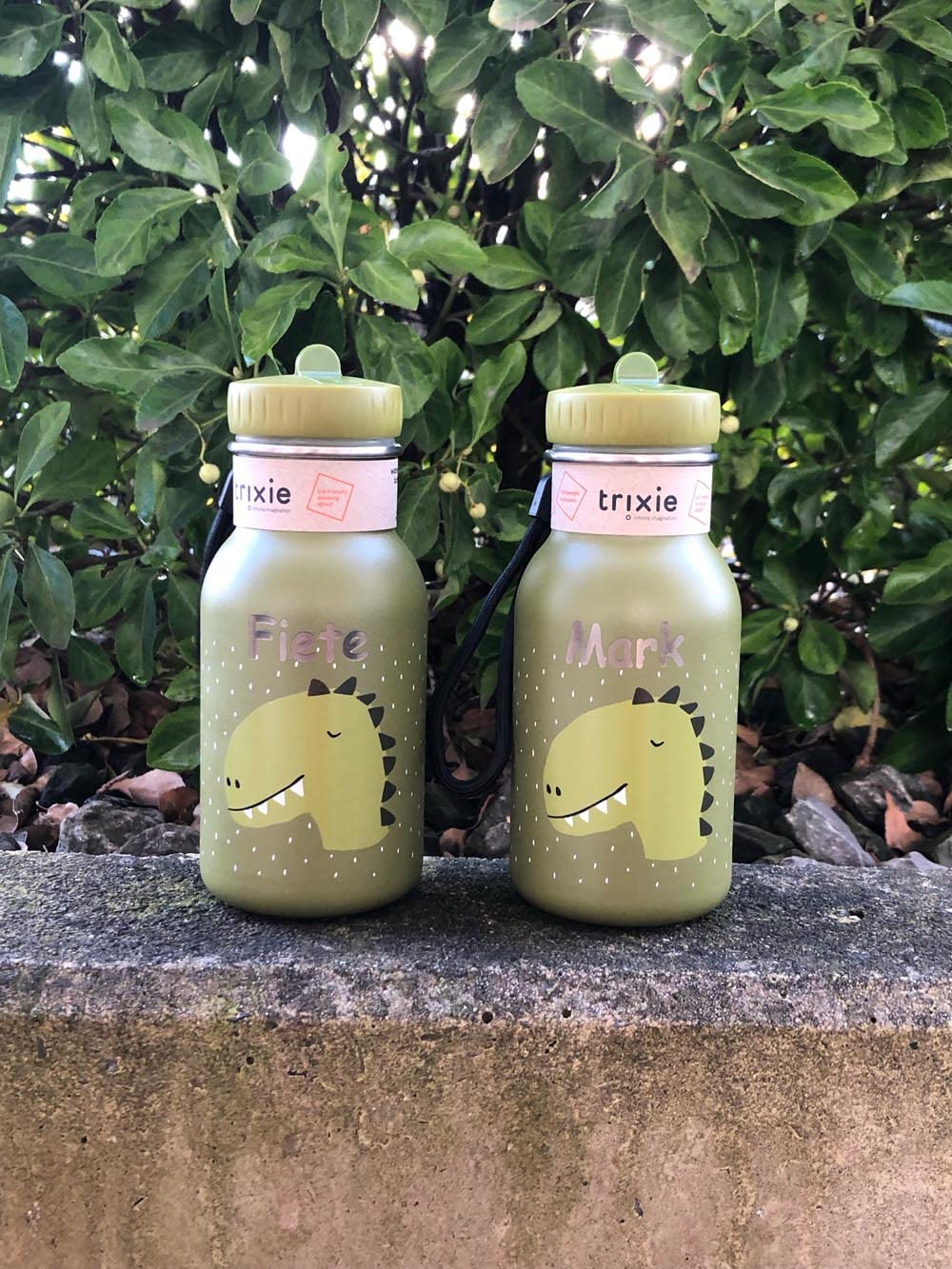 Baby Dinosaurier Trinkflasche - Süße Schlafmotiv Flasche Silber