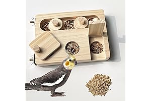 FlidRunest Wooden Bird Foraging Puzzle Toy