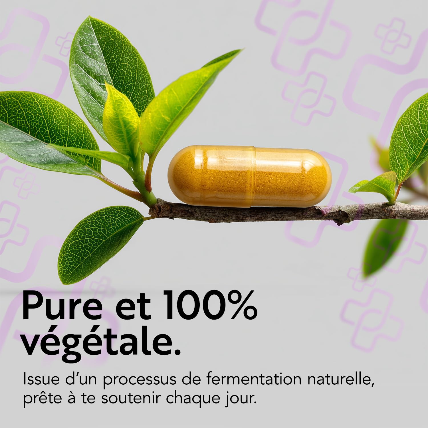 Coenzyme Q10 200 mg PiùLife Ubiquinone - 120 Gélules Vegan | 1 par jour, Fermentation Naturelle, Forme identique à celle produite par l'organisme, Sans Gluten, Sans Lactose, 4 Mois