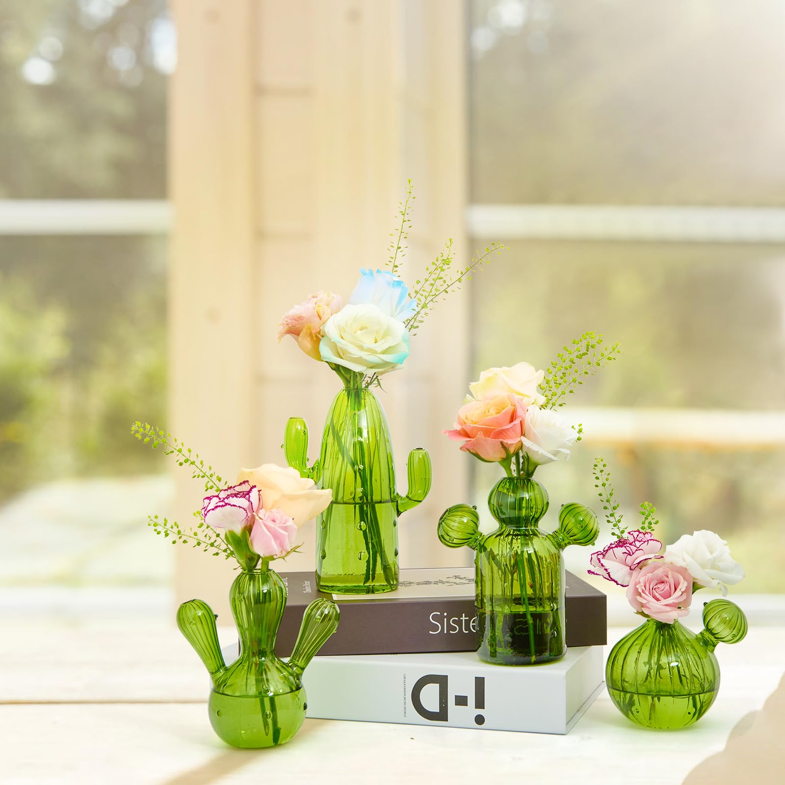 Amazon.com: XXXFLOWER Cactus Plant Propagation Station Terrarium Jars for  Plant Cuttings Air Plant Holders Unique Glass Flower Vase for Hydroponics  Plants for Plant Lovers Home Garden Decor : Patio, Lawn & Garden