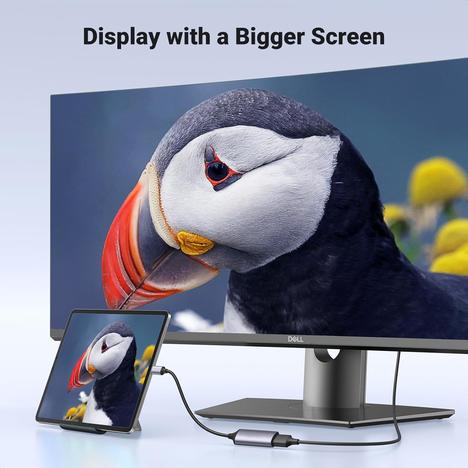 PremiumCord Adattatore da USB-C a HDMI 8K F/M, HDMI 2.1, UHD 8K 4320p 60Hz, 4K 2160p 144Hz, HDR10+, HDCP 2.3, 48 Gbps, Alloggiamento In Alluminio, Grigio Siderale