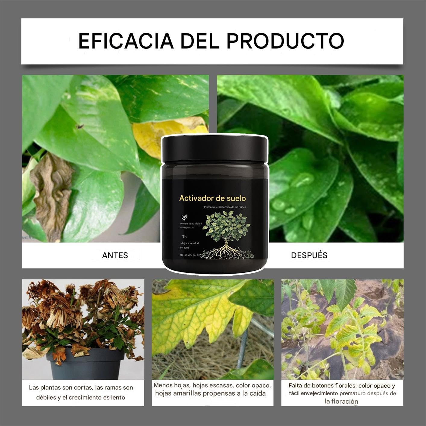 Activador de Suelo,Suave, Seguro y Fácil de Usar para Principiantes,Activador de Suelo para Jardín - para Césped, Patio, Balcón, Terraza, Jardín, y Más