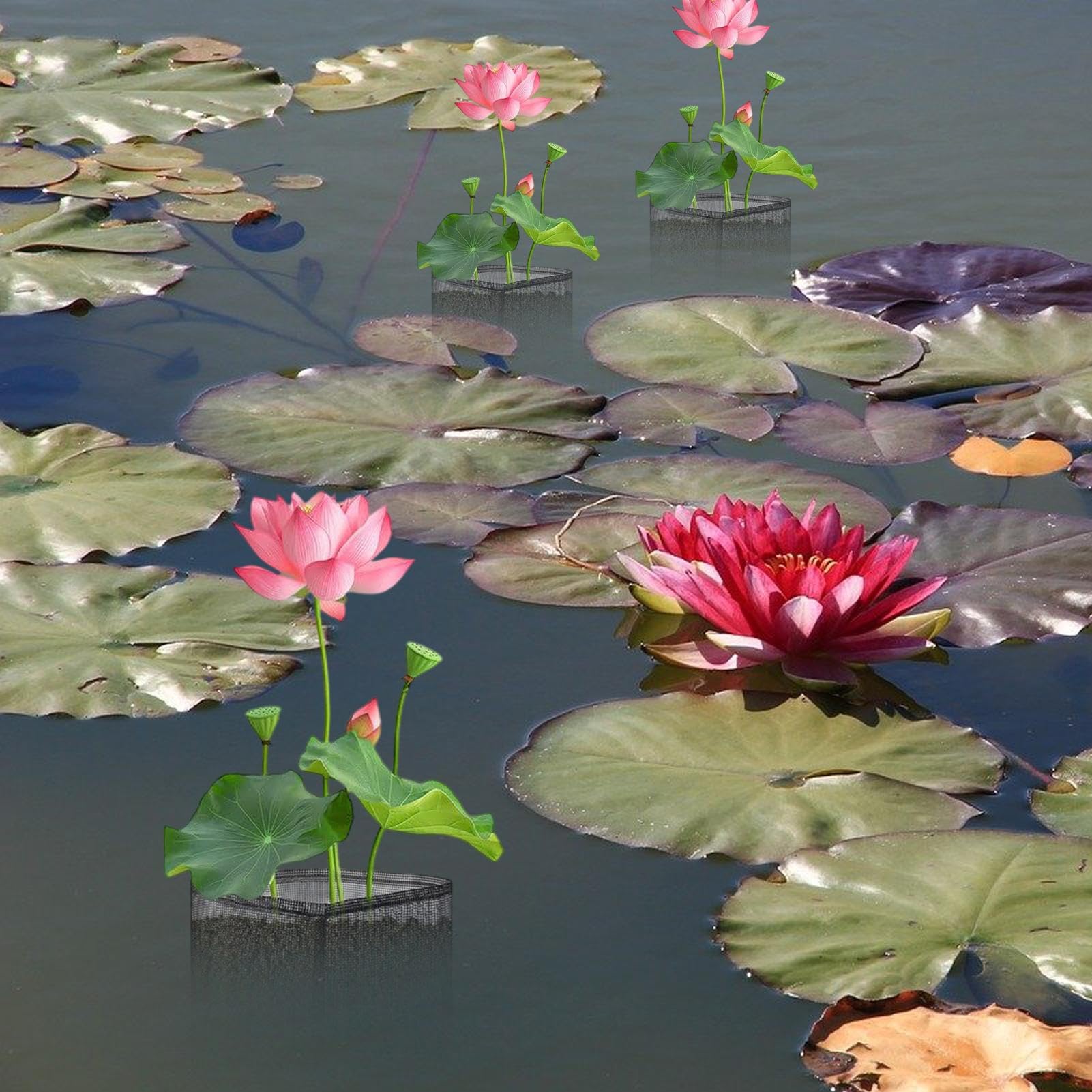 Koi - Set di 4 cestini galleggianti per piante acquatiche, traspiranti per balconi, giardini acquatici, fioriere idroponiche, laghetto