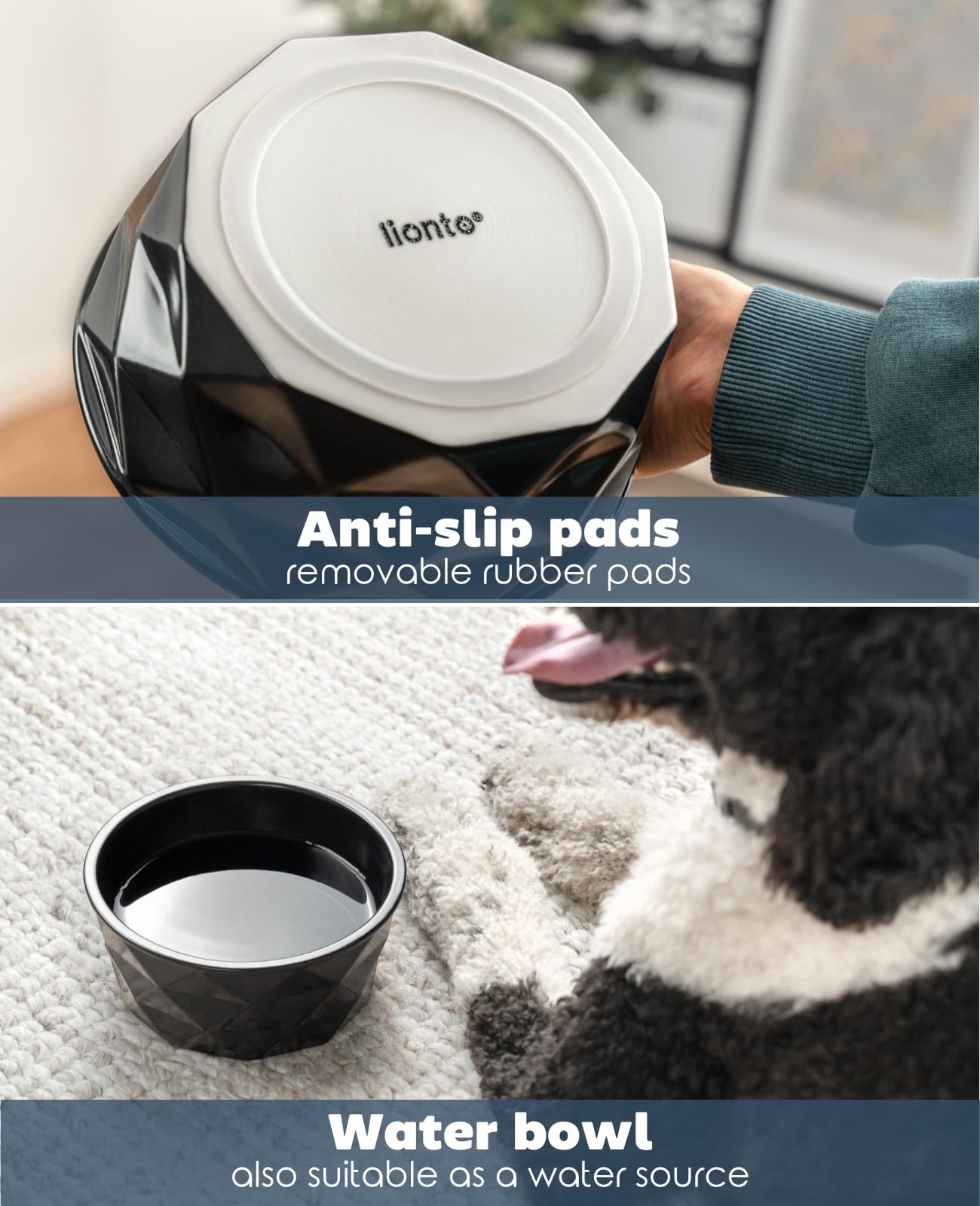 View 3