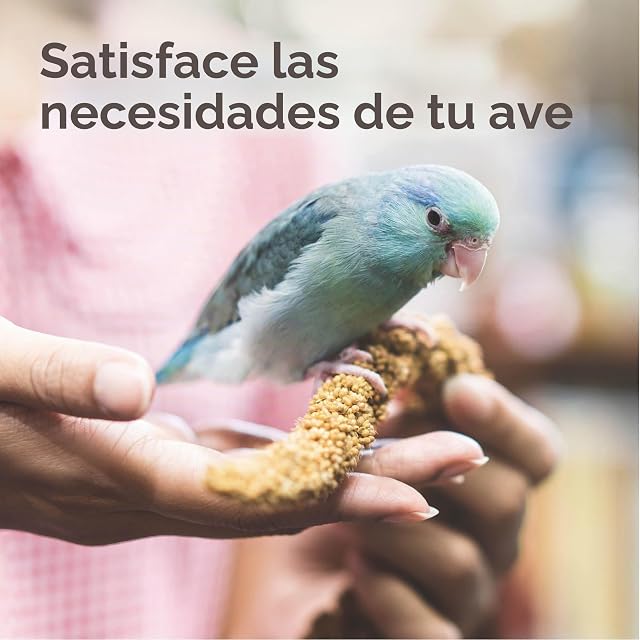 Foto 4 de 6 de Beaphar Xtravital Loros - Alimentación Premium - Contiene Frutas, Semillas y Cereales