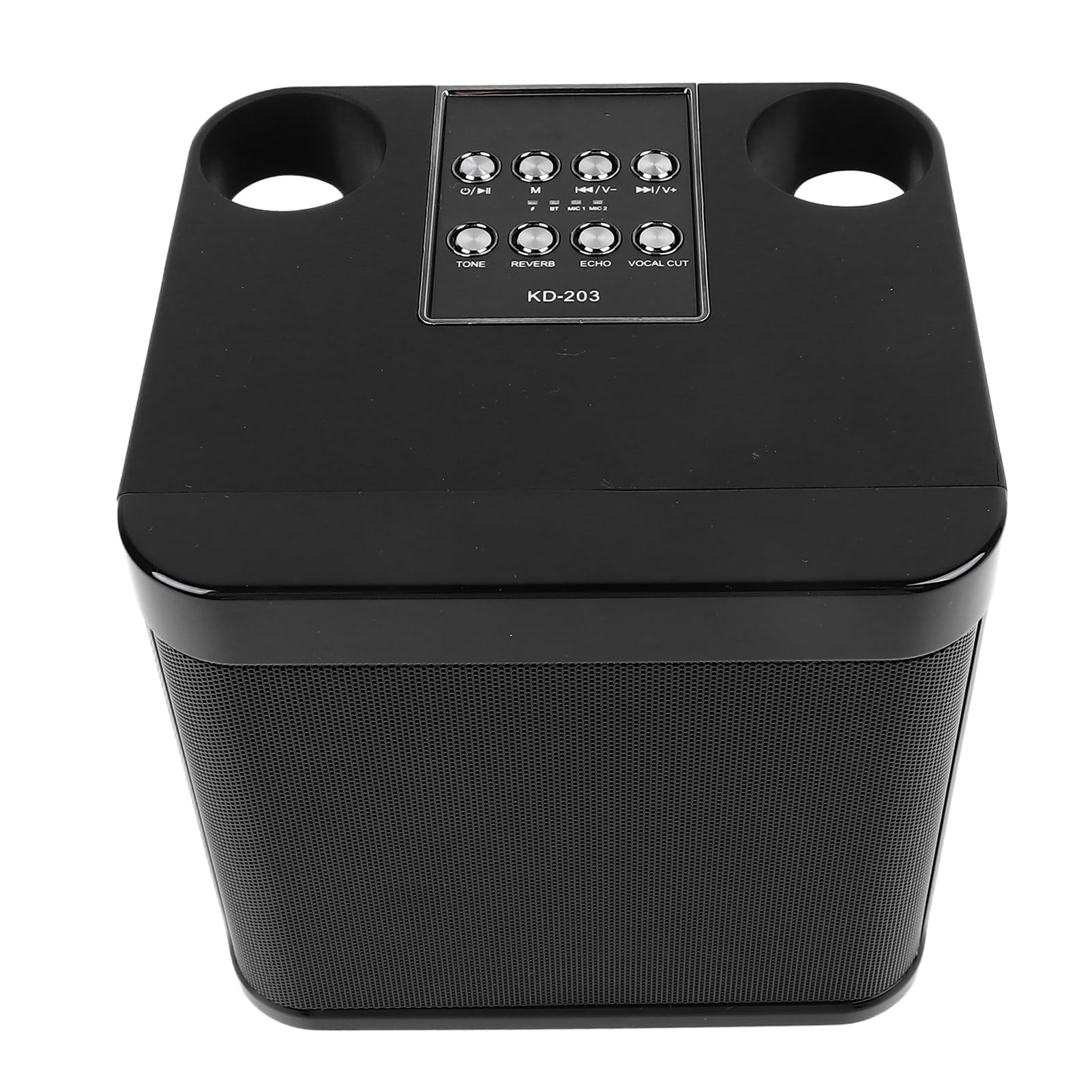 Piccolo Apparecchio per Karaoke Portatile con Bluetooth, Audio Premium per Feste in Casa, Include 2 Microfoni