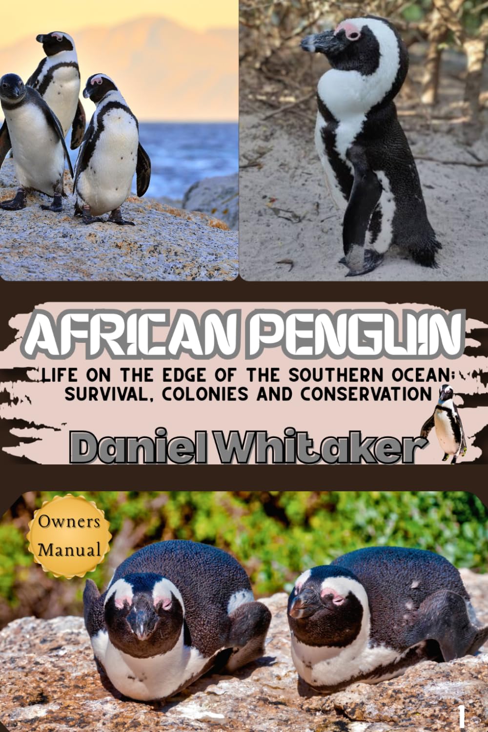 African Penguin: Life on the edge of the southern ocean: survival, colonies and conservation