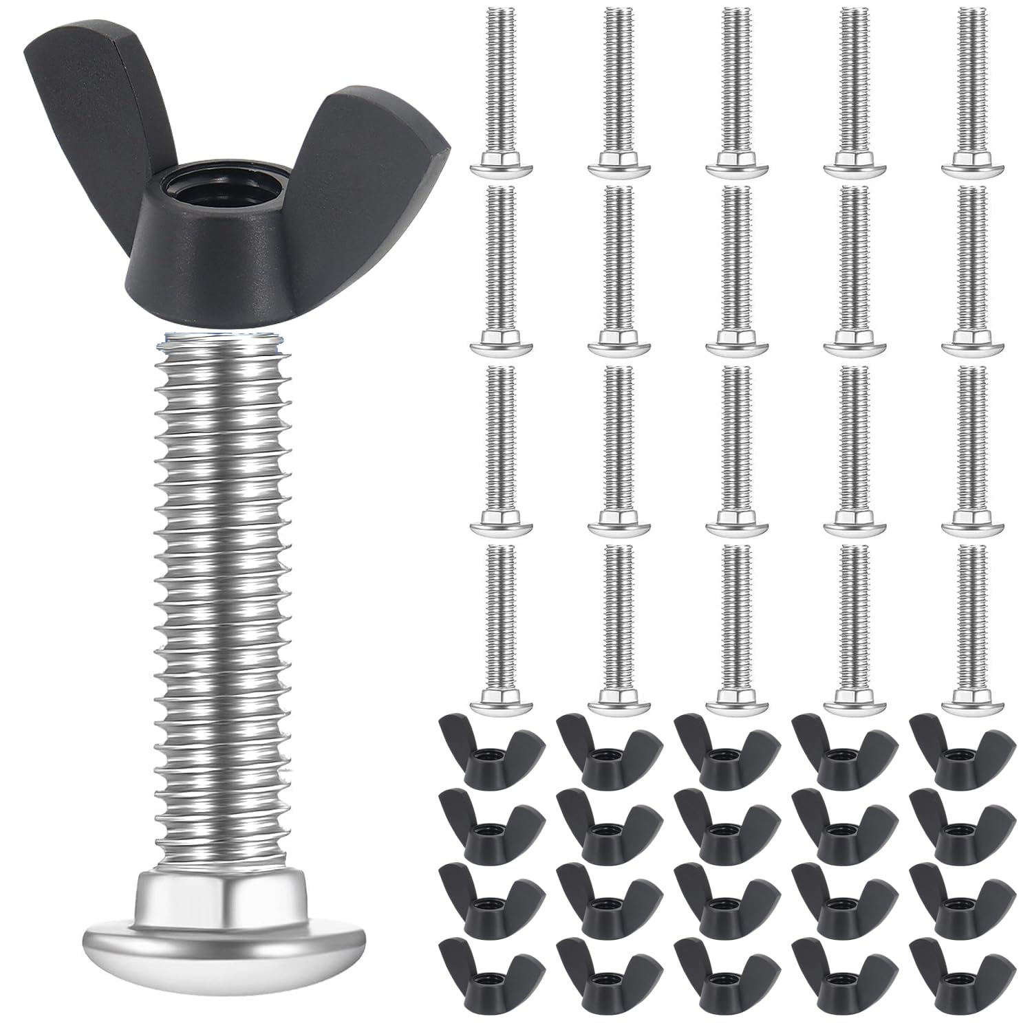 M6 Pet Carrier Fasteners, 20 Set 304 Stainless Steel Wing Butterfly