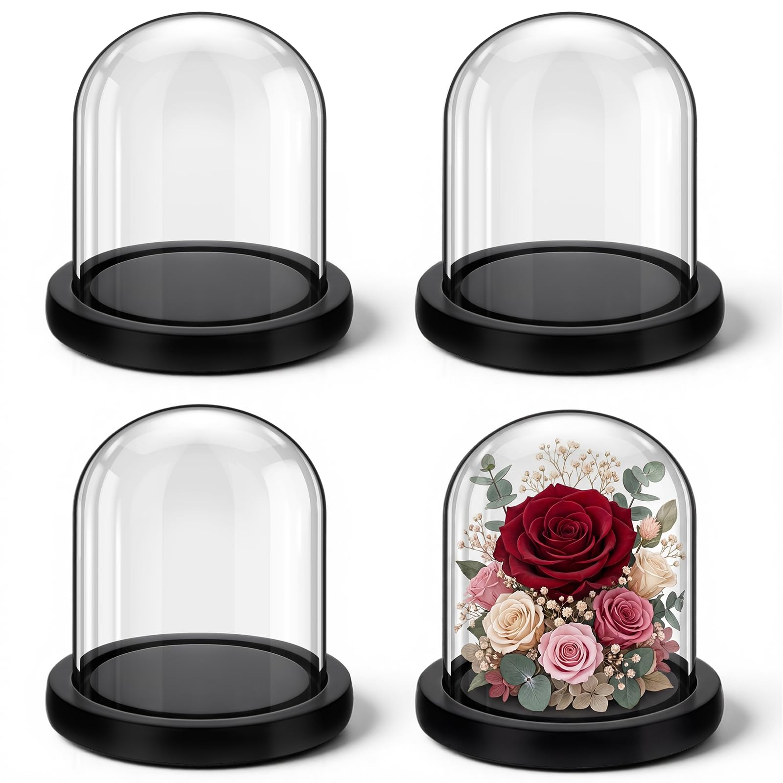 Cloche en verre de qualité supérieure et son socle en bois noir mat