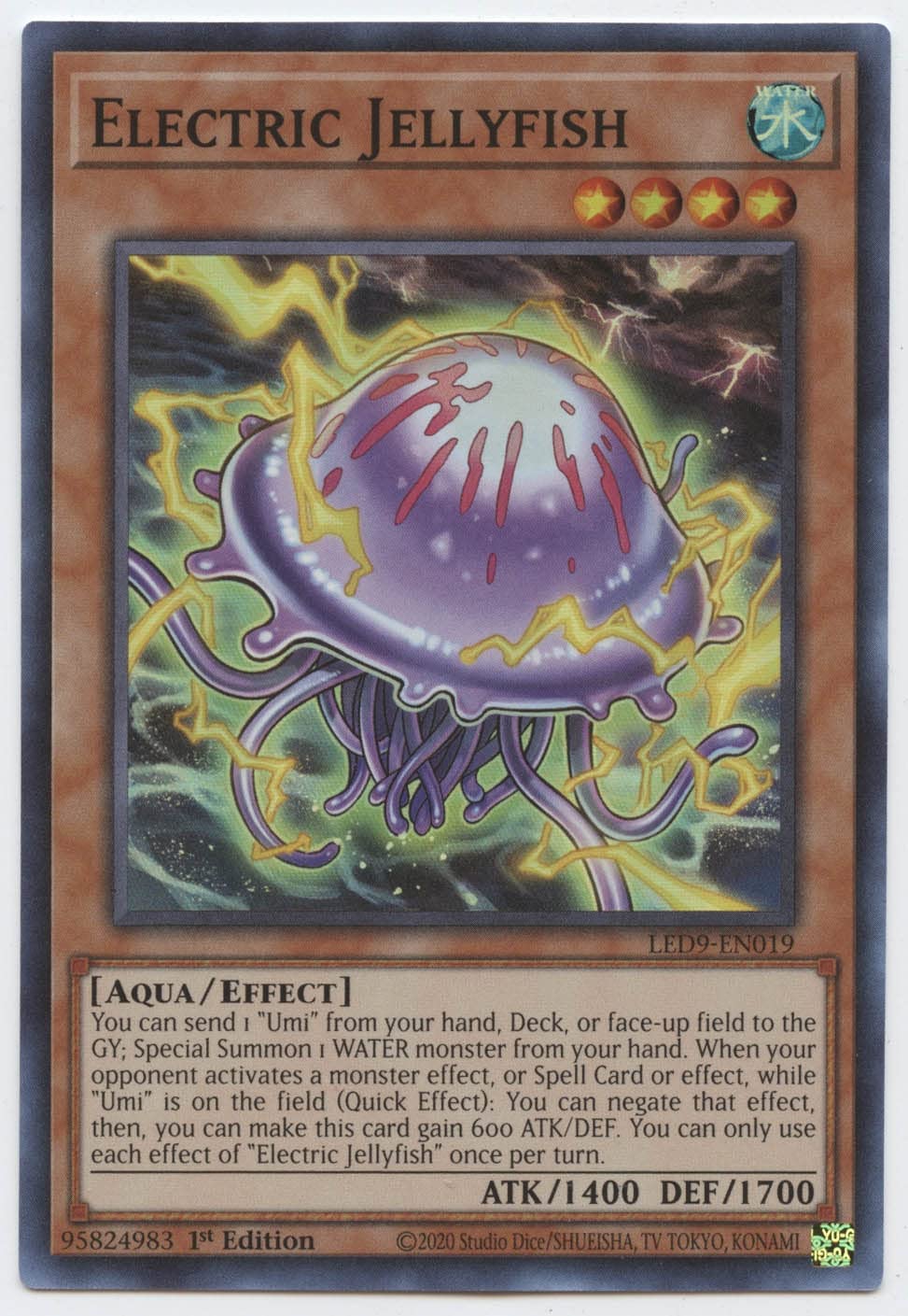 E☆新品 echo & Synchro jelly DSC_0291_1200x1200.jpg?v=