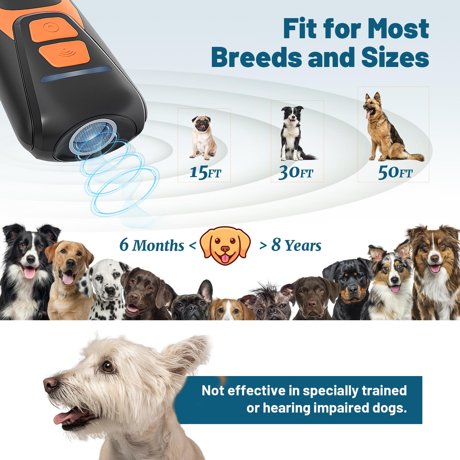 View 6