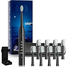 Rechargeable Electric Toothbrush, 8 Brush Heads, with 100 Day Battery Life, 5 Cleaning Modes, Fast Type-C Charging, Comes with Portable Travel Case &amp; Holder, Black