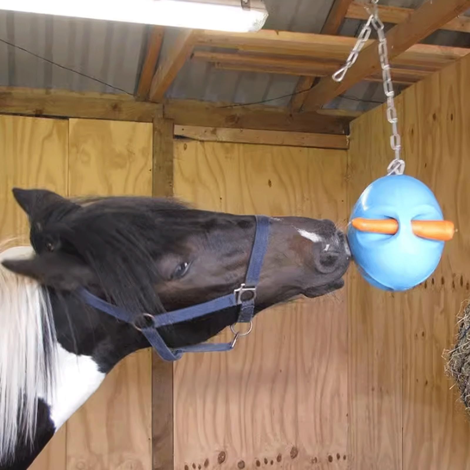 Palla per Cavalli, Giocattolo per L'alimentazione in Plastica Appeso Allevia Lo Stress E Migliora La Palla da Addestramento per Giocattoli per L'agilità del Cavallo