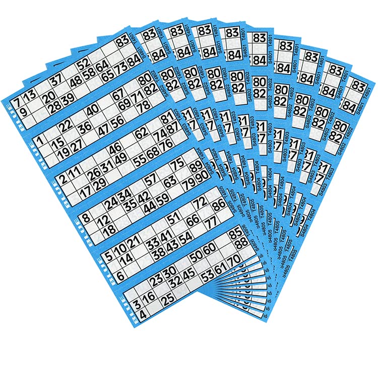 𝗣𝗮𝗰𝗸 𝗼𝗳 𝟭𝟬 – Bingo Pads Bingo Book 1-480 Bingo Tickets 6 Tickets View Flayers For Family Function or Get Together, Indoor Games, Christmas, New Year (Blue)