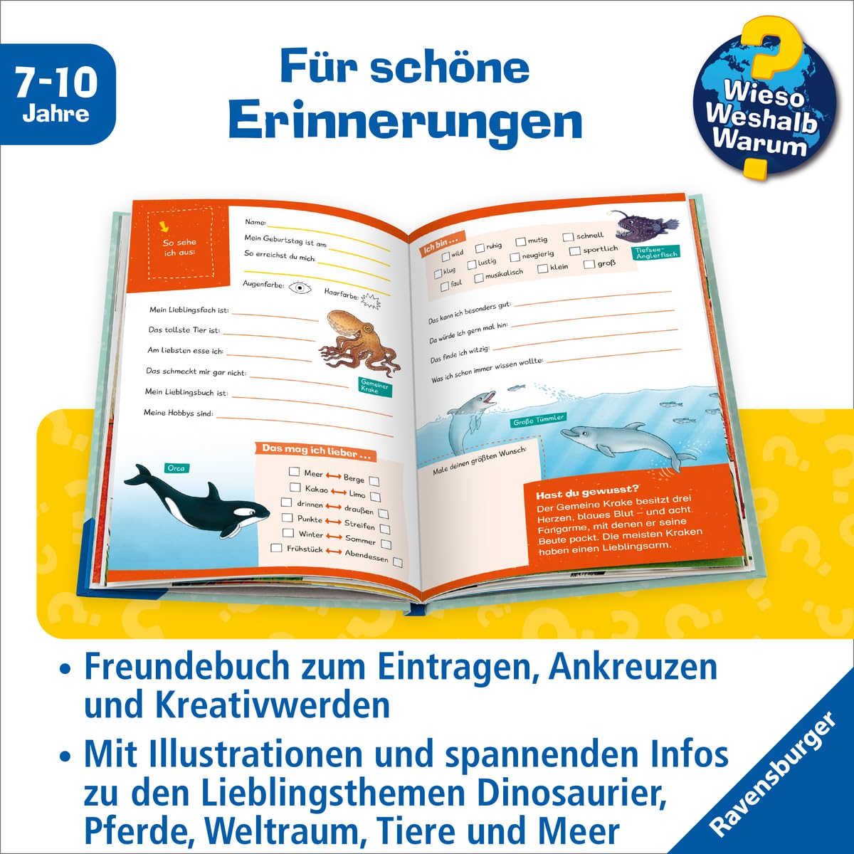 Wieso? Weshalb? Warum? Meine Schulfreunde (Freundebuch)