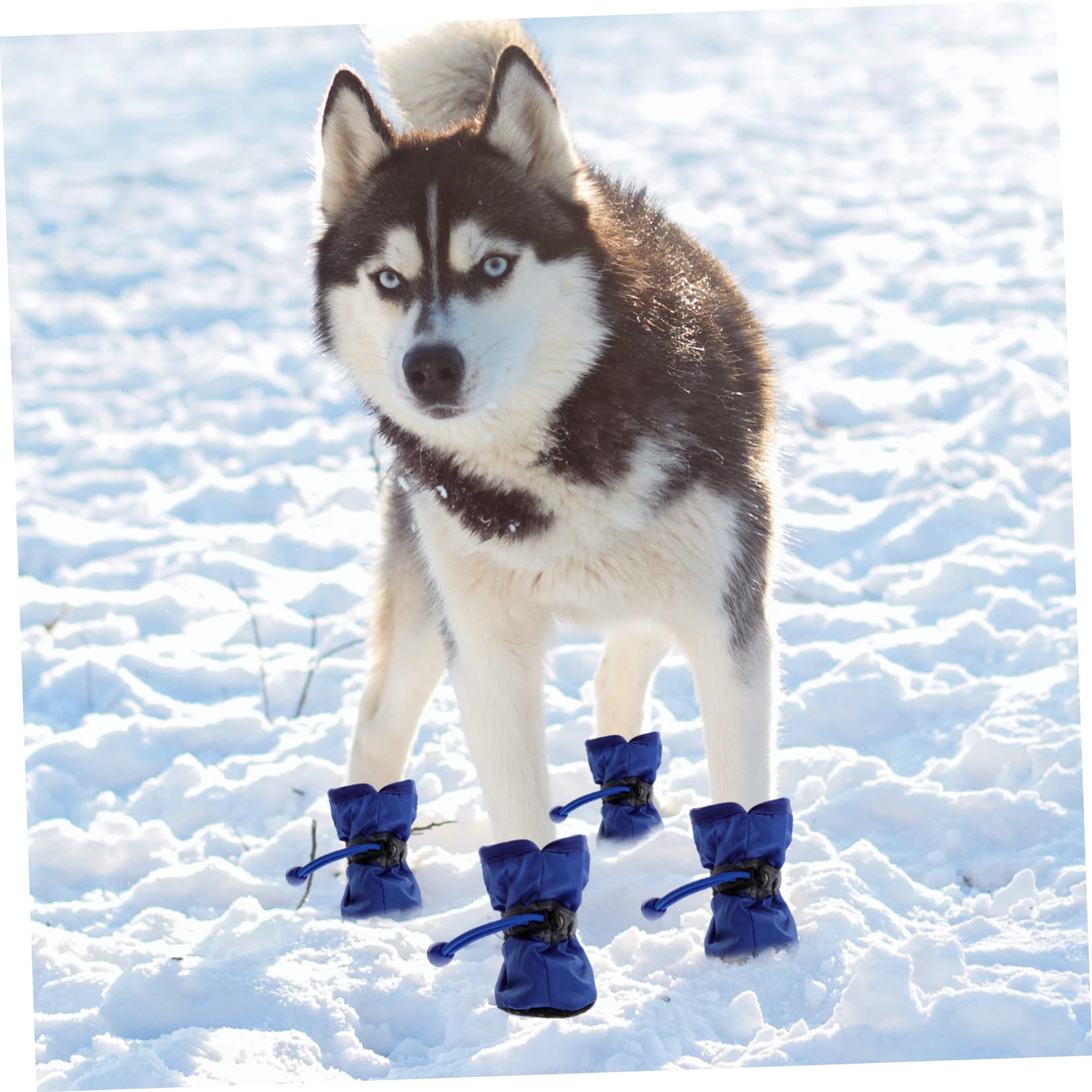 ABOOFAN 9 Set di Stivali da Pioggia per Cani Resistenti Allacqua per Esterni Facili da Indossare