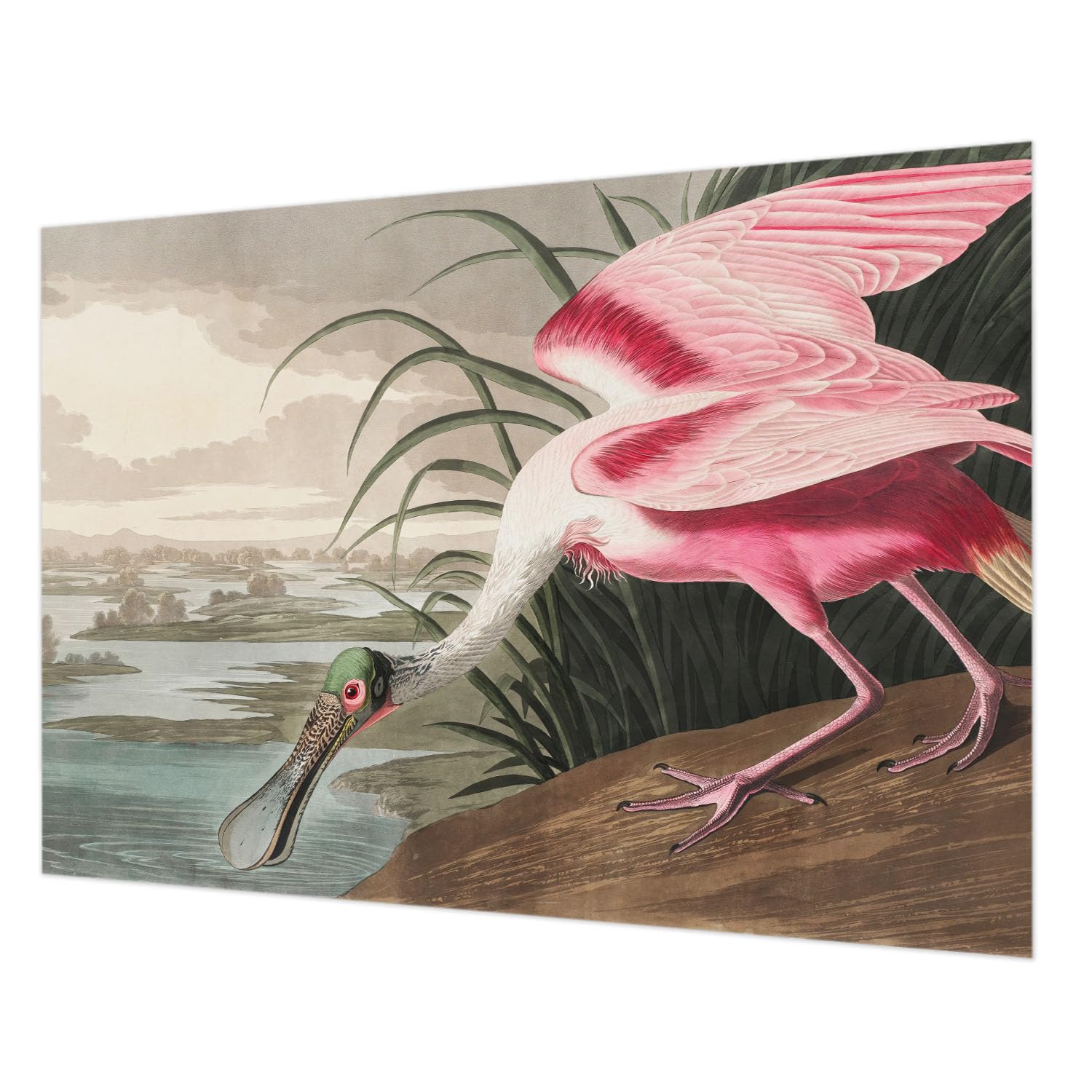 Papier peint exotique oiseau 208x146 cm pose facile salon