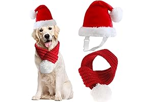 Christmas Dog Santa Hat & Scarf