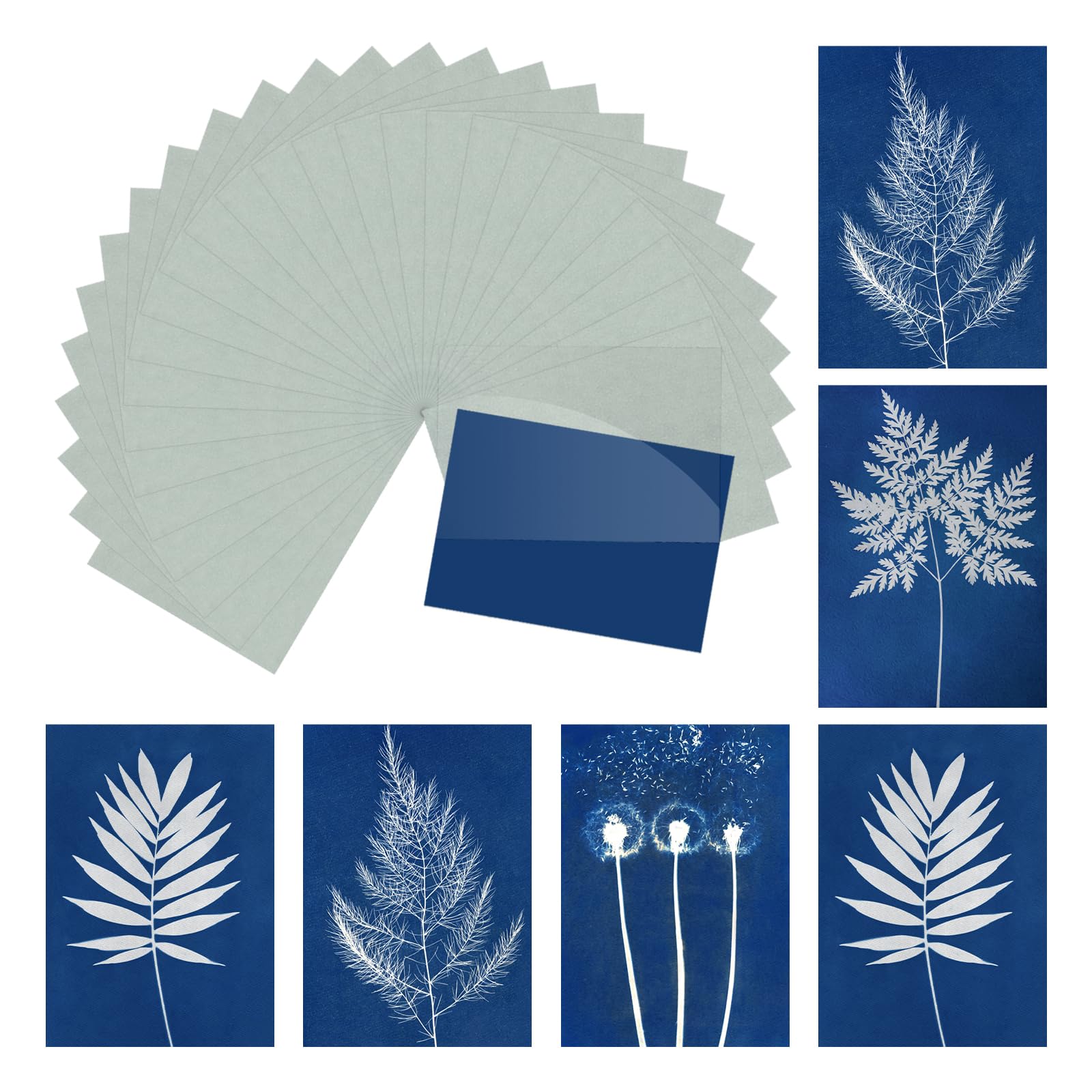 Kit Carta Cianotipa Solar Per Esperimenti Artistici – 12 Fogli A7 Con Lastra Acrilica