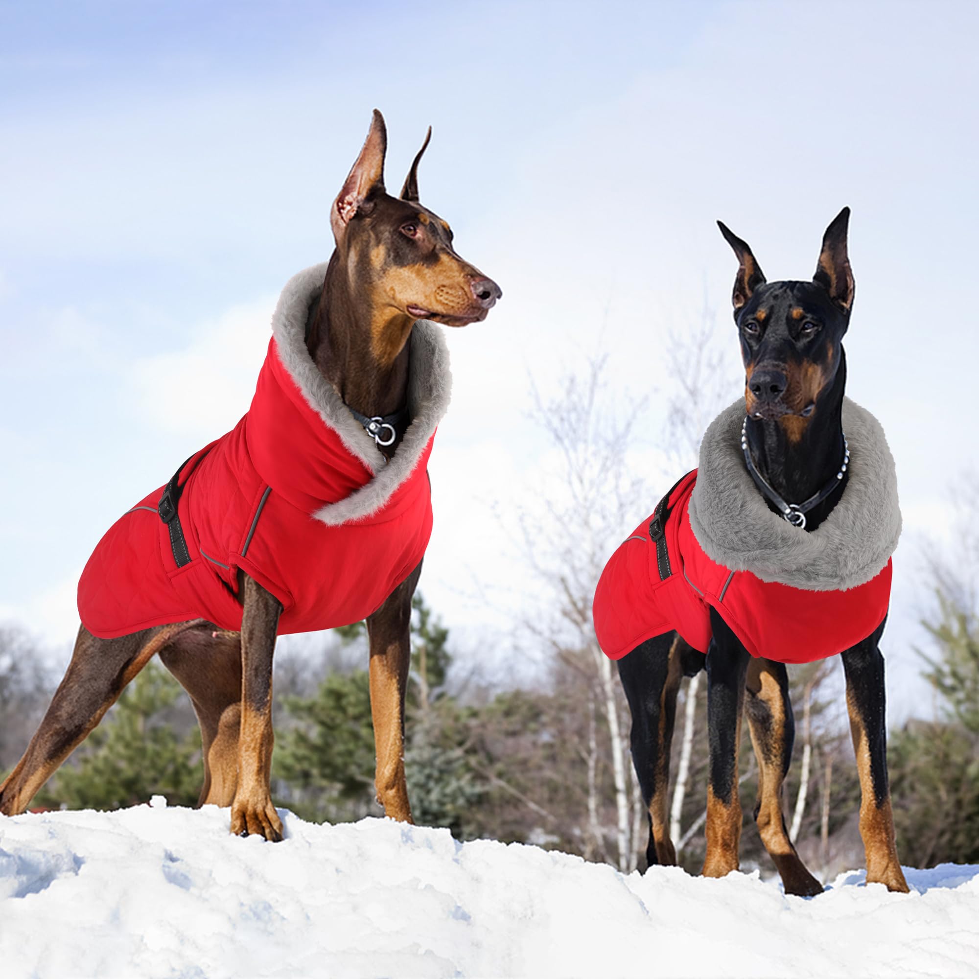 Petglad Veste imperméable pour chien, veste d'hiver avec boucle réglable, gilet réfléchissant à col montant pour animaux de compagnie, pull en polaire chaud pour chiens de petite, moyenne et moyenne