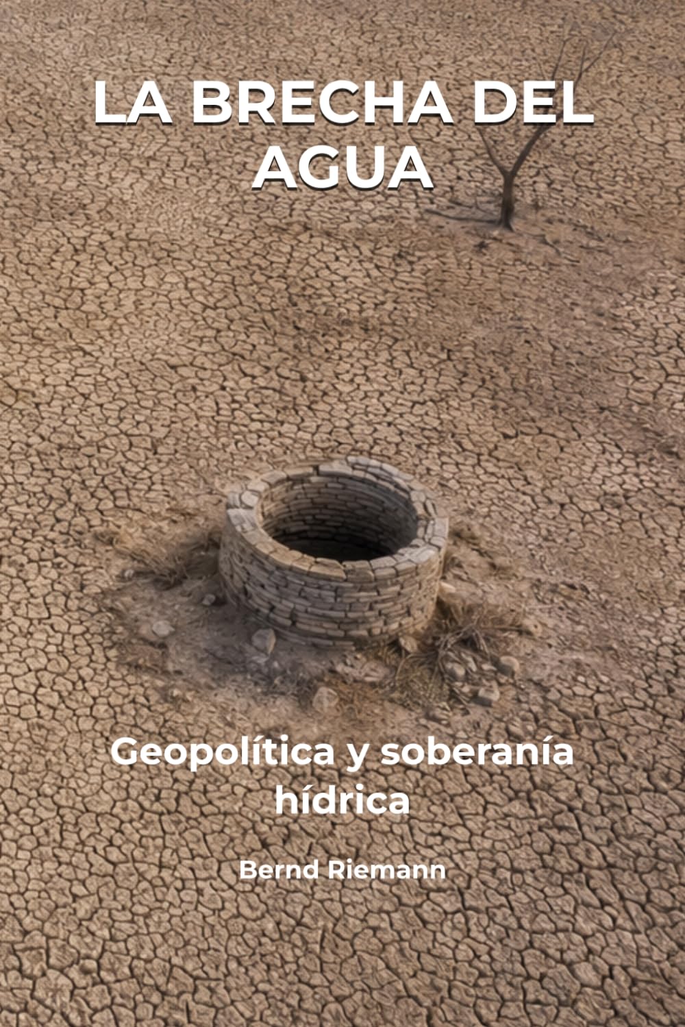 La brecha del agua: geopolítica y soberanía hídrica