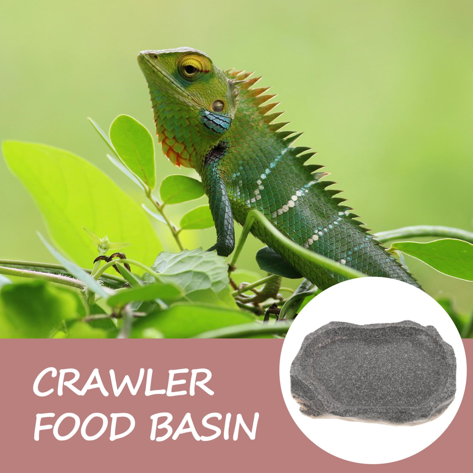 VANZACK 4piezas Tazón De Resina para Reptiles Comedero y Bebedero Diseño De Roca para Terrarios y Acuarios Fácil De Limpiar Resistente Derrames para Alimentos y Agua De Mascotas