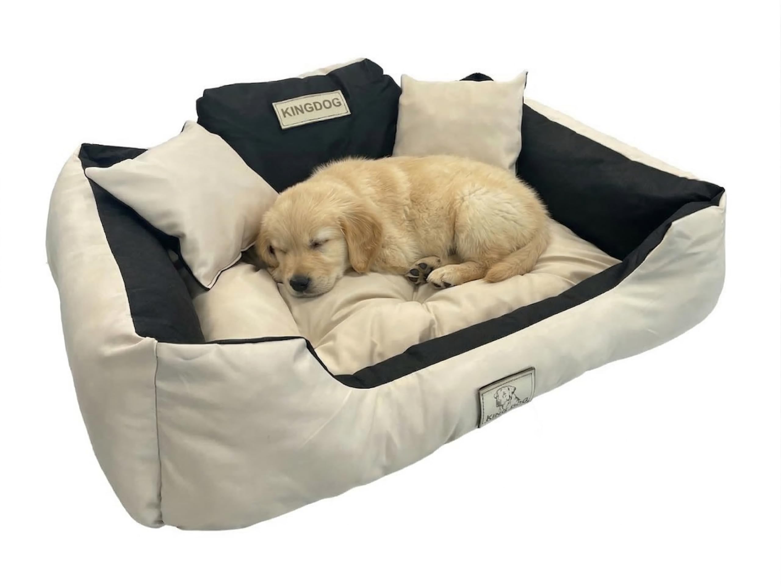 Concept Crystal Machine Washable Waterproof Dog Bed Codura - Silicone Fibre Fill Durable Cushion - No Odour After Accidents - Handmade Poland Anti-Allergic - Large Sizes Up to 145x115cm | KING DOG