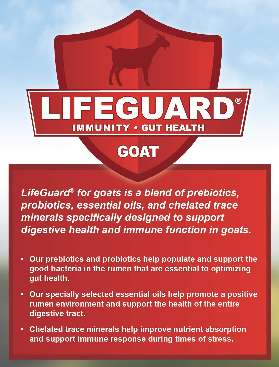 Buy 16 Goat Grain Textured Complete Goat Feed, 50 lb Bag Online at