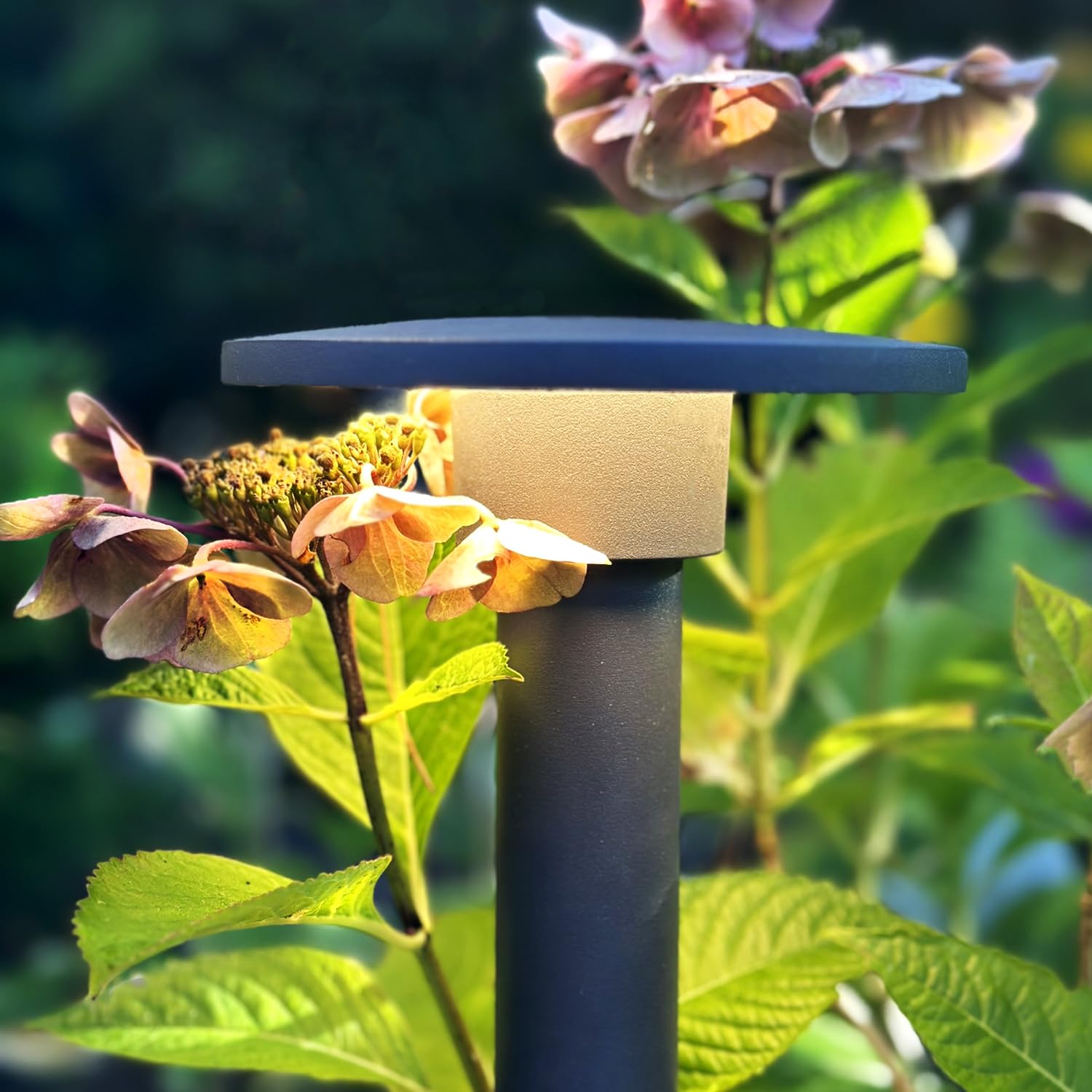 LightsOn Orbit 65 słupków Plug & Play Oświetlenie ogrodowe LED (ciemnoszare): system 12 V, stałe źródło światła i nieoślepiające światło, łatwe do zainstalowania i rozbudowy, do przejść, rabatów i