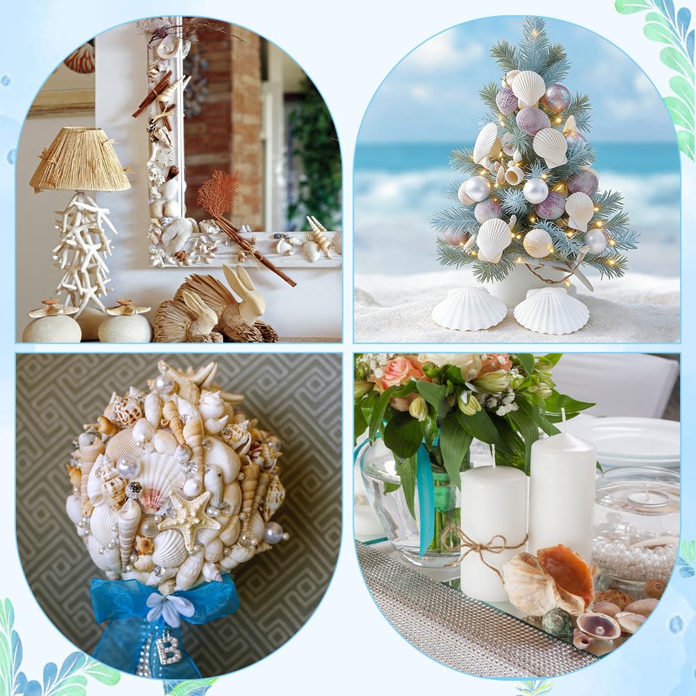 Nbeads 25 Pz di Stelle Marine Grandi e Conchiglie di Capesante, Conchiglie di Mare con 10 pz di Perle Acriliche Imitate per Decorazioni Natalizie, Feste in Spiaggia, Matrimoni Artigianato Fai Da Te