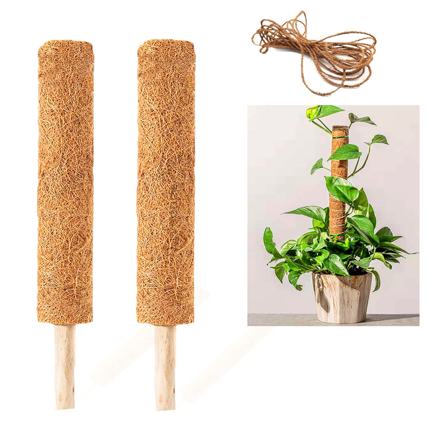 See full amazon price history chart for LIVEONCE 2 ft Pack of 2 Coco Coir Poles Extending up to 4 feet with 1mtr tie - Train Indoor Plants to Grow Upwards - Use Plant Support Poles Individually or Together LIVEONCE 2 ft Pack of 2 Coco Coir Poles Extending up to 4 feet with 1mtr tie - Train Indoor Plants to Grow Upwards - Use Plant Support Poles Individually or Together (B0BH2NL4Z9) Amazon Price History, Amazon Price Tracker