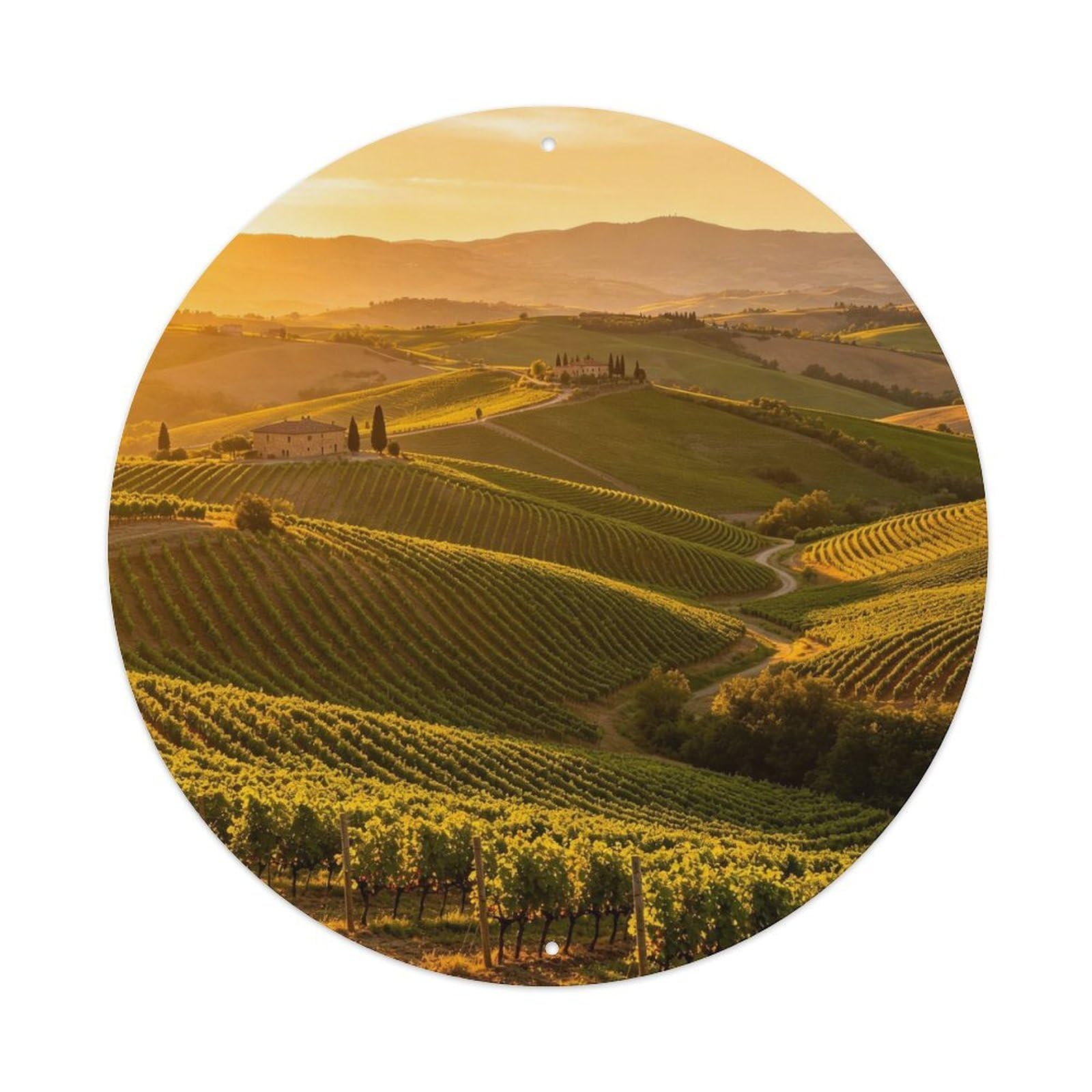 Tuscany Vineyard Hills Golden Hour Metal Tin Sign Plaque