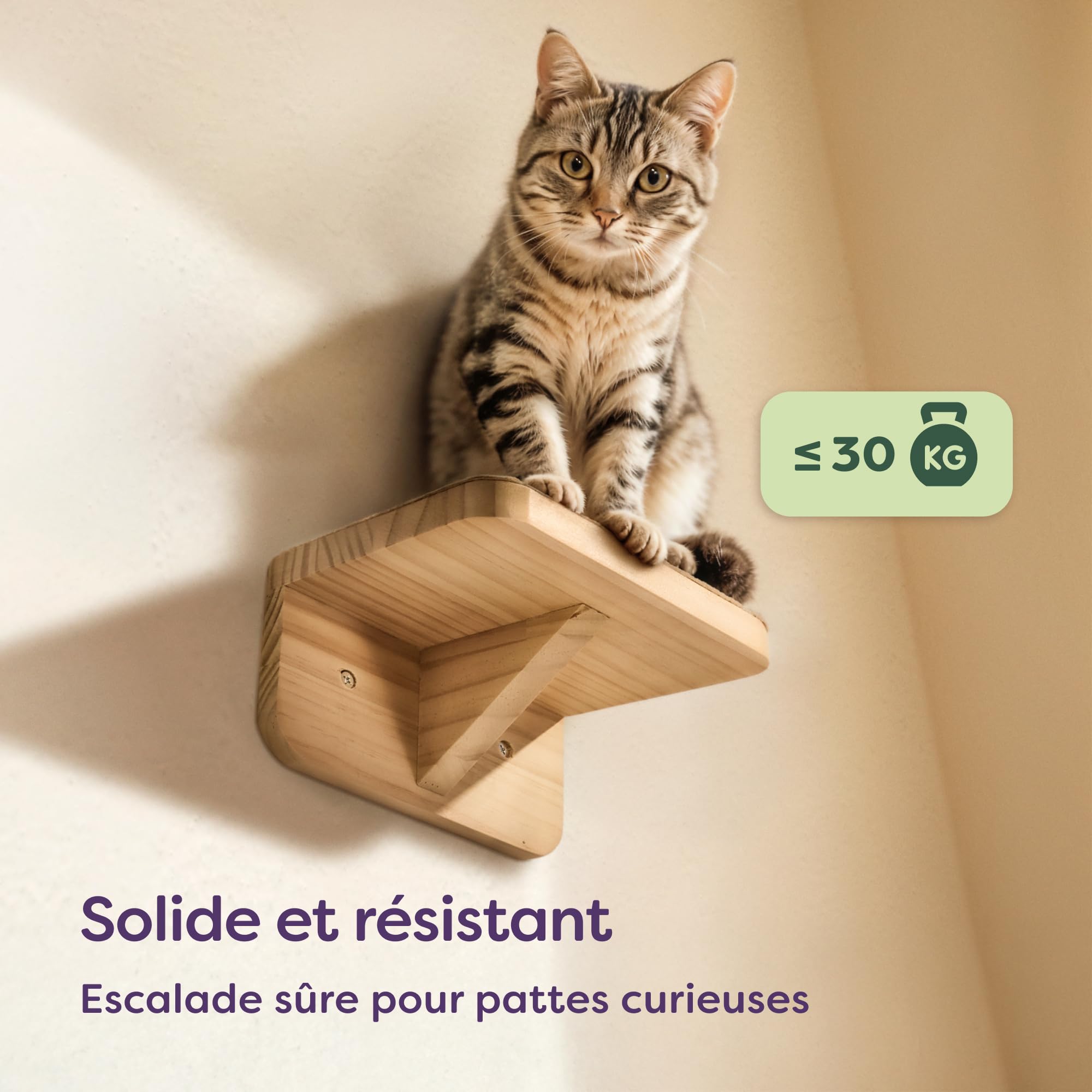 Knupis Mur d'escalade pour Chat Beige - 3 Escalier Mural pour Chat en Pin Fsc® - Non-tissé Antidérapant - Montage Facile - Charge Maximale Élevée Jusqu'à 30 Kg
