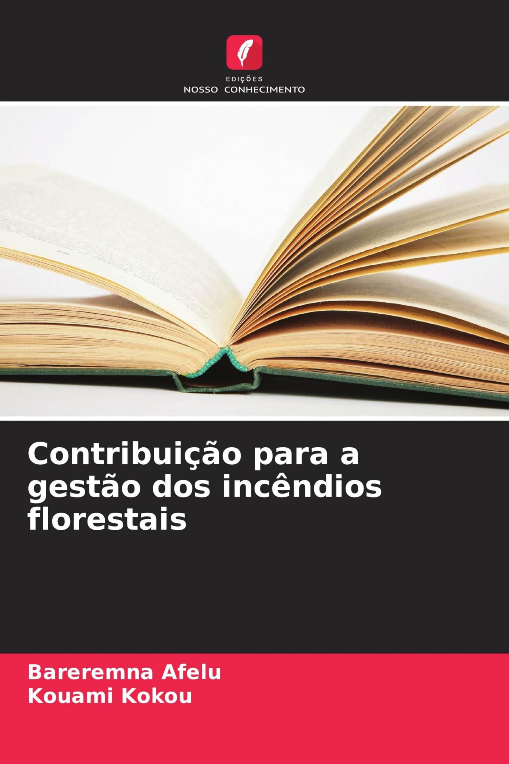 Contribuição para a gestão dos incêndios florestais