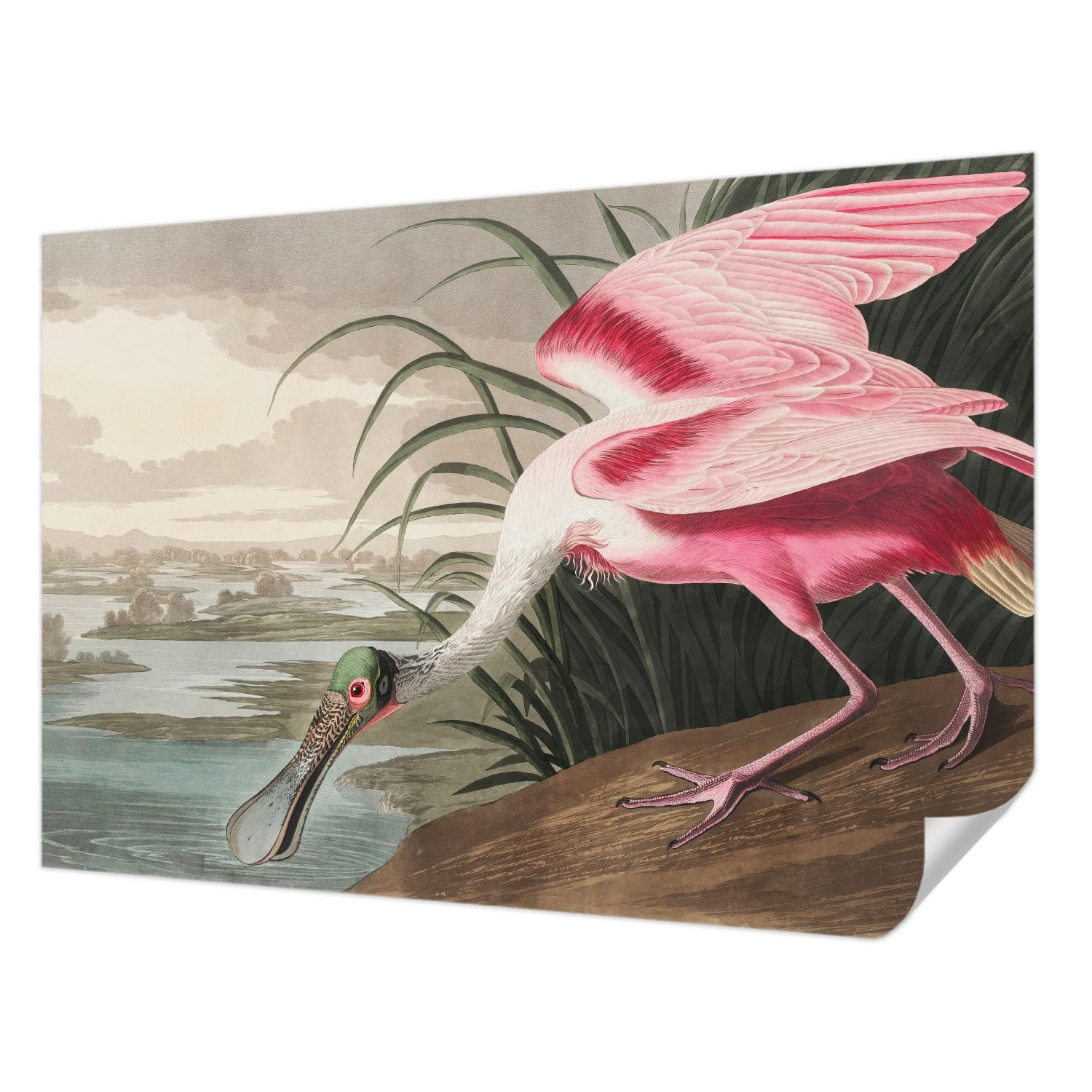 Papier Peint Auto-Adhésif Oiseau Exotique 152x104 cm Tulup