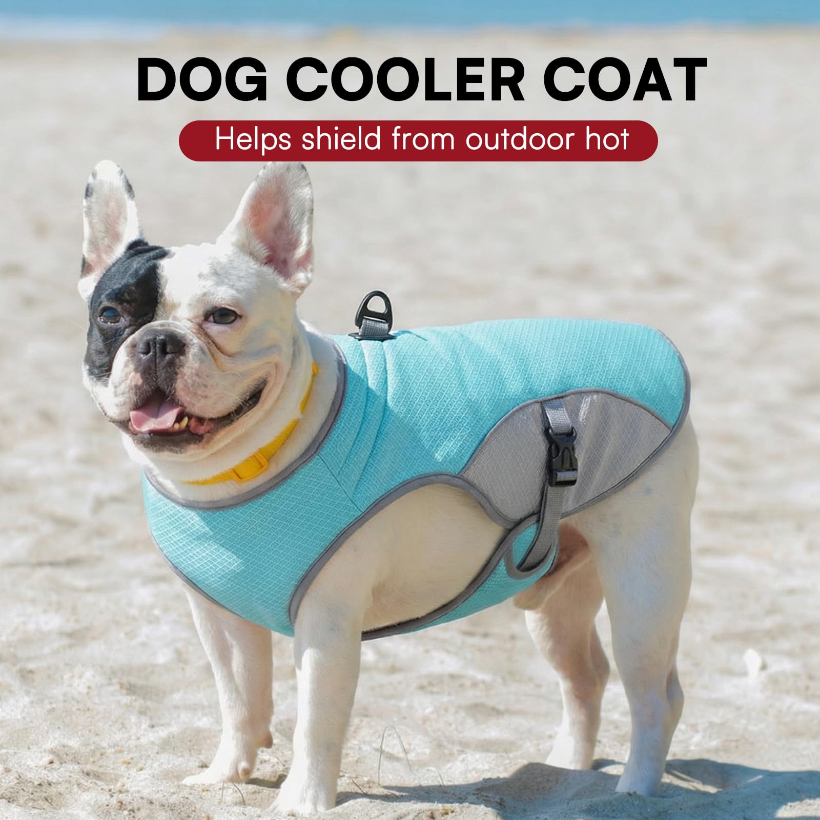 Dog Cooling Jacket for Large Dogs, Pet Cooling Vest with Mesh and D Ring, Dog Reflective Stripe Cooler Jacket for Beach, Hiking, Walking, Blue-L — view 6