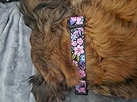 Review Image by Catherine O. Catherine O.