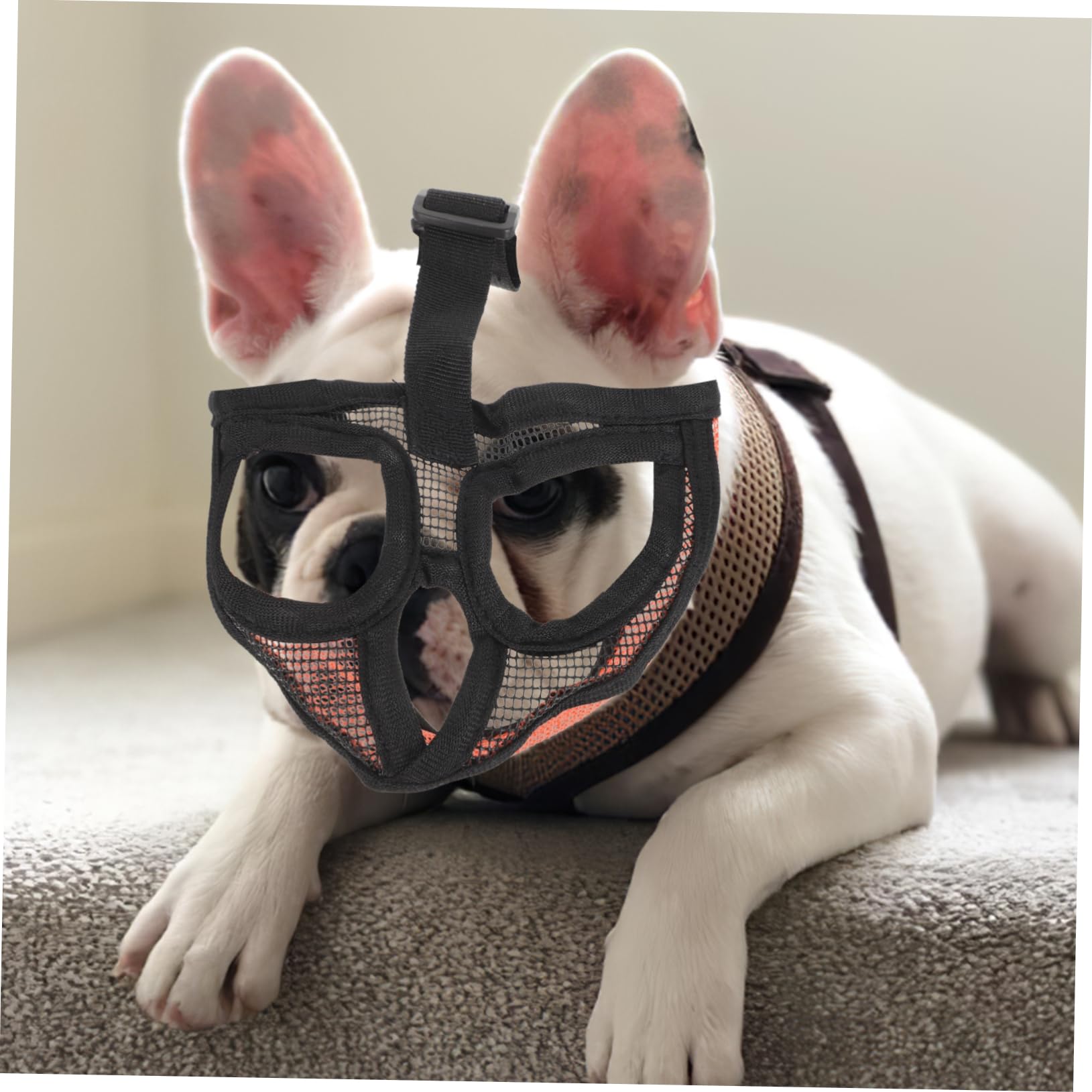 HEMOTON Adjustable Breathable Mesh Dog Muzzle for Snout Breeds Biting Dog Mask for Outdoor Use Prevents Barking and Chewing Comfortable Fit for Pet Safety